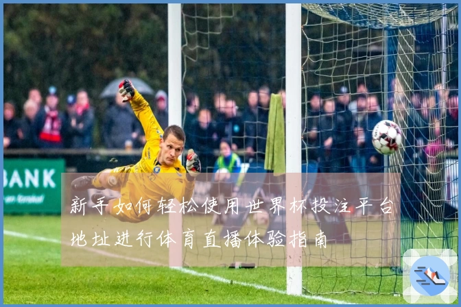 新手如何轻松使用世界杯投注平台地址进行体育直播体验指南