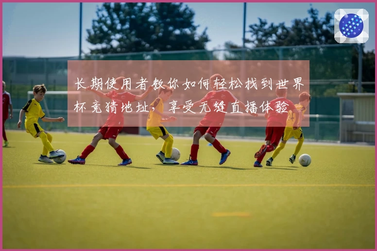 长期使用者教你如何轻松找到世界杯竞猜地址，享受无缝直播体验