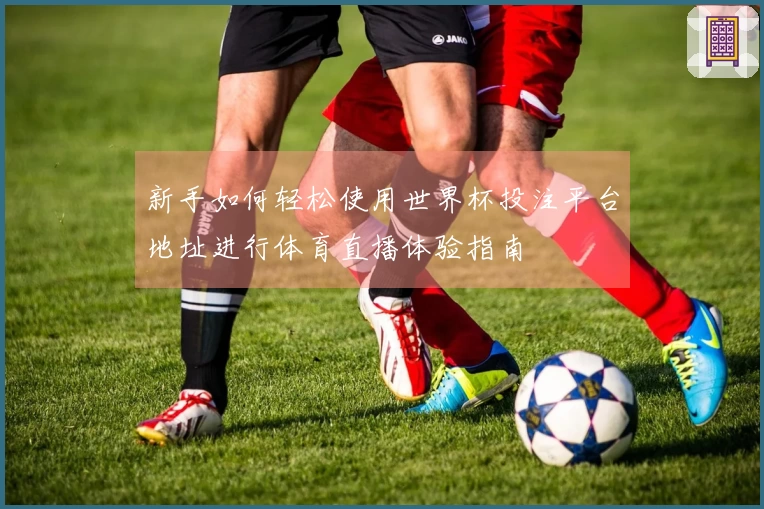 新手如何轻松使用世界杯投注平台地址进行体育直播体验指南